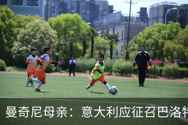 曼奇尼母亲：意大利应征召巴洛特利 若鸟该挨批